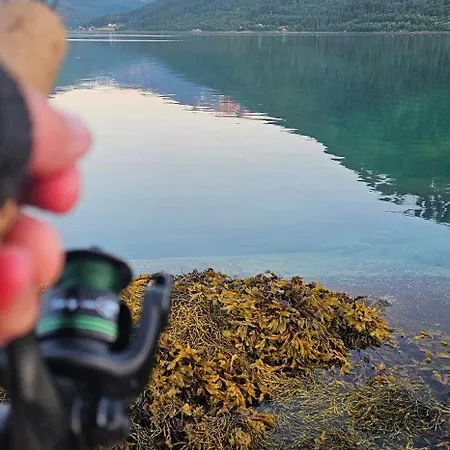Alojamento de Turismo Selvagem Fredbo *